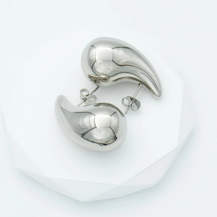 Bottega Silver Earrings