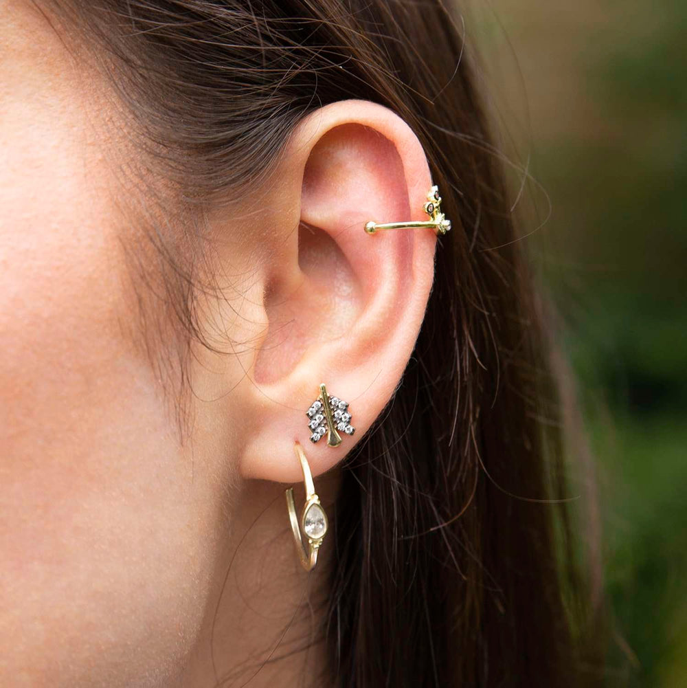 Earrings Diamond Hoops